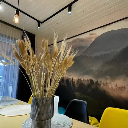 Holiday home Weekend House Verkhovyna